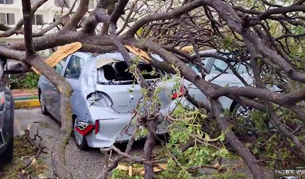 Trees fall over cars in Guam after a typhoon hit the US territory, May 25 2023. (Reuters)