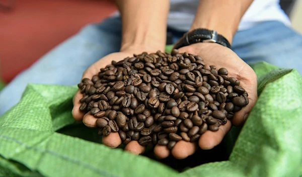 This photo taken on March 13, 2023 shows a man holding coffee beans at a coffee tasting fair in Buon Ma Thuot city, Vietnam. (AFP)