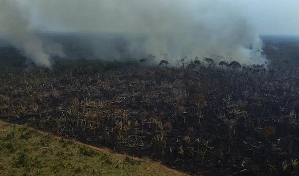 - Smoke rises from a forest fire in the Transamazonica highway region, in the municipality of Labrea, Amazonas state, Brazil, Sept. 17, 2022. (AP)