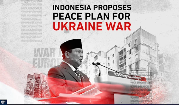 Indonesia proposes peace plan for war in Ukraine