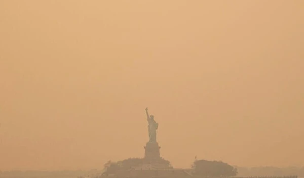 Winged bugs invade New York after wildfire smog