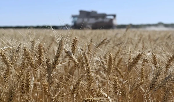 Turkey proposes options to transfer Russian grain to poor countries