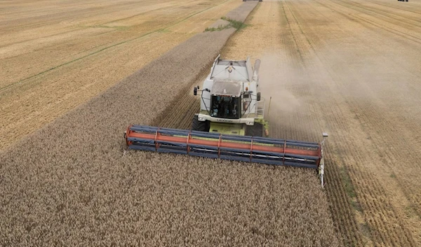 Harvesters collect wheat in the village of Zghurivka, Ukraine, on Aug. 9, 2022. (AP)