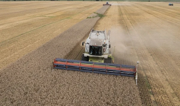 Harvesters collect wheat in Zghurivka, Ukraine on August 9, 2022. (AP)