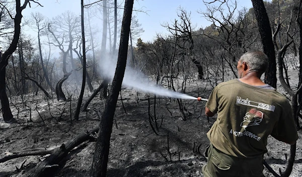 15 killed, including 10 soldiers, in Algeria wildfires: Authorities