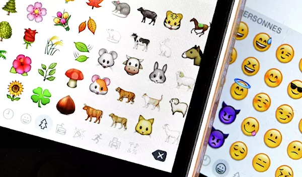 Canadian judge rules thumbs up emoji binding contract