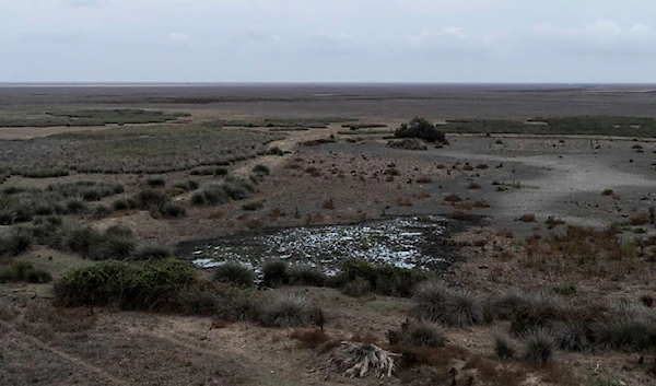 Key Spanish lagoon dries out due to drought, overexploitation