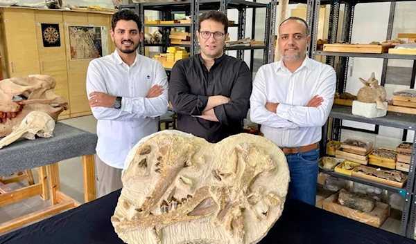 Palaeontologists led by Hesham Sallam (R) show off the type specimen of Tutcetus rayanensis (American University in Cairo (AUC)/AFP)