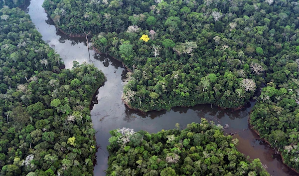 A river runs through Porto Velho in Brazil's Amazon, Tuesday, Aug. 27, 2019. (AP)