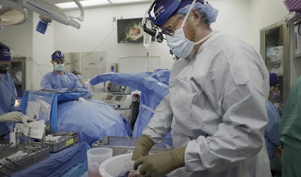 Robert Montgomery, director of NYU Langone’s transplant institute, preparing a pig kidney for transplant into the brain-dead man last month in New York. (AP)