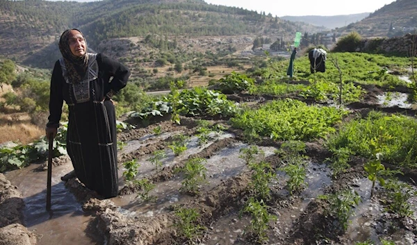 Israelis drying up West Bank from water