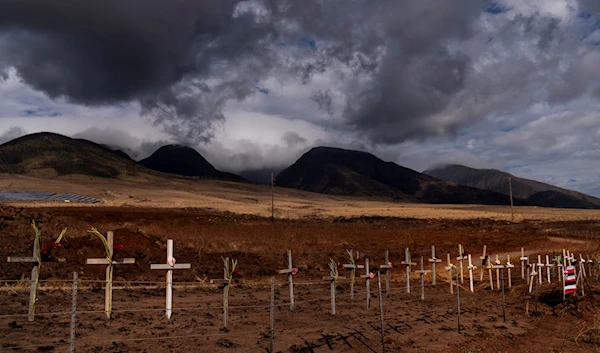 Crosses honoring victims killed in a recent wildfire are posted along the Lahaina Bypass in Lahaina, Hawaii, Monday, Aug. 21, 2023. (AP)