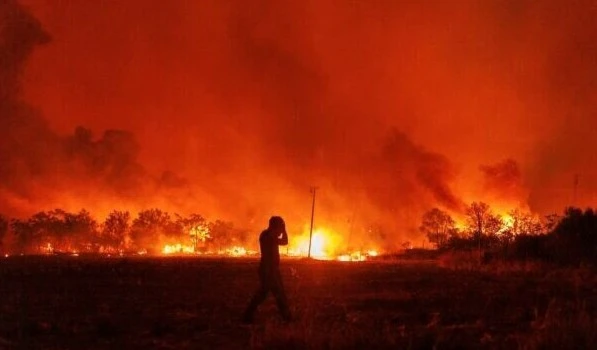 Flames burn a forest during a wildfire in Avantas village, near Alexandroupolis town, in the northeastern Evros region, Greece, Monday, Aug. 21, 2023. (AP)