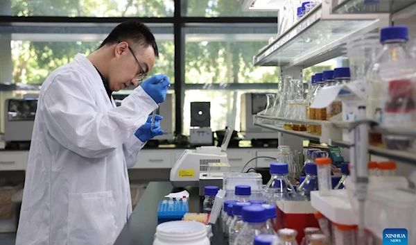 Associate researcher Yang Jiangang carries out an experiment at a laboratory of the Tianjin Institute of Industrial Biotechnology under the Chinese Academy of Sciences in Tianjin, north China, Aug. 13, 2023. (