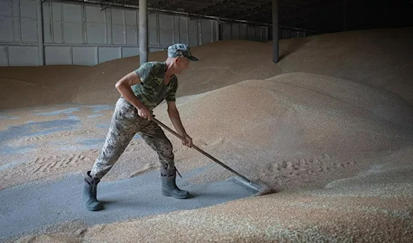 A worker rakes wheat in a granary on a private farm in Zhurivka. (AP)