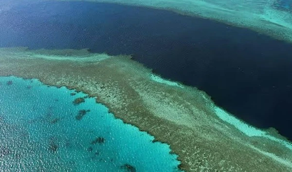 A large area of ocean along the north-east Queensland coast is under heatwave conditions, raising concerns for the health of corals on the Great Barrier Reef and other ocean life. (AFP via Getty Images)