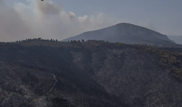 Greece had 'largest wildfire ever recorded in EU'