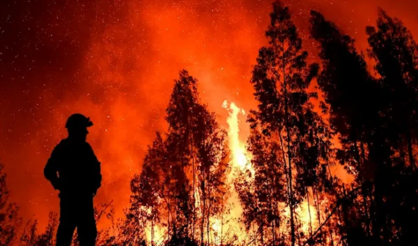 Portugal battles wildfires amid record heat