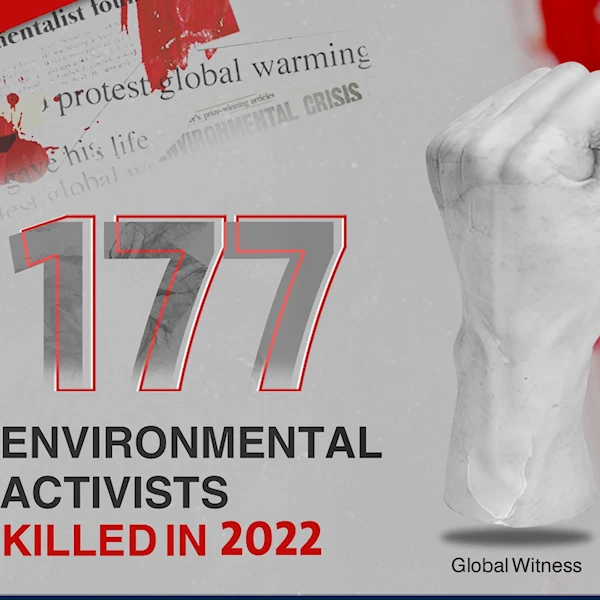 177 environmental activists killed in 2022