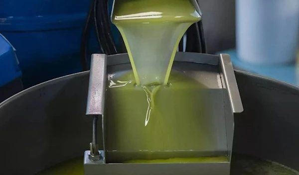 Olive oil inside a machine at an olive oil factory (AFP)