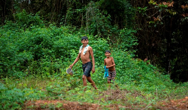 Brazil's Indigenous communities secure historic land rights victory