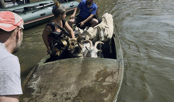 Volunteers evacuate dogs and goats from the flooded city in Kherson, June 7, 2023. (AP)