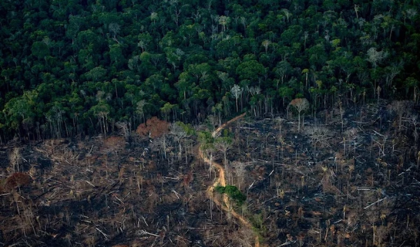 An aerial view shows a deforested area of Amazonia rainforest in Labrea, Amazonas state, Brazil, in September 2021 (AFP)