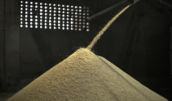 Rice is sorted in a factory in Makhu, in the Indian state of Punjab, on March 12, 2021 (AP)