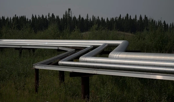 Tubing transporting gas, steam and oil emulsion stand above the vegetation to allow for animals to pass underneath at Cenovus' Sunrise oil facility northeast of Fort McMurray on Aug. 31, 2023. (AP)