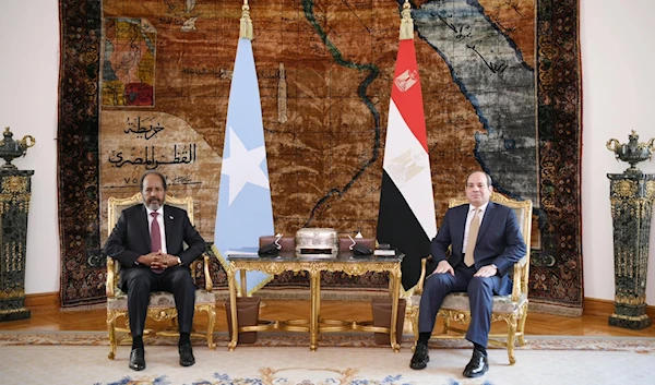 Abdel Fattah al-Sisi reiterated Egypt’s rejection of the deal as a violation of Somalia’s sovereignty, Cairo, Egypt, Jan. 21, 2023. (Egyptian Presidency)