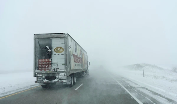 An image of a dairy cow is seen on the back of a Kemps tractor trailer as it moves along the snowy eastbound lane of U.S. Highway 20 during a blizzard near Holstein, Iowa, Saturday, Jan. 13, 2024.(AP)