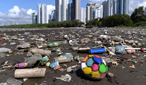 Plastic waste on the beach in Panama City. (Luis Acosta, AFP via Getty Images)