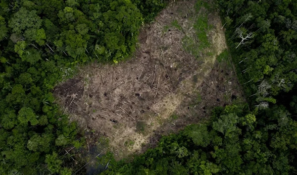 Deforestation and the destruction of habitats in Amazon, Colombia, as seen in March 2023. (AFP)