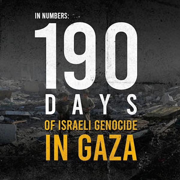 In numbers: 190 days of Israeli genocide in Gaza