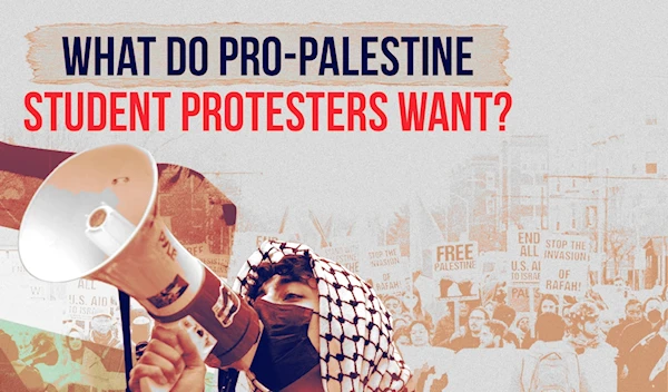 What do pro-Palestine student protesters want?