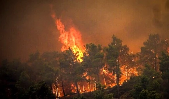 Flames rise during a forest fire on the island of Rhodes, Greece, Saturday, July 22, 2023. (AP)