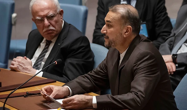 Iran's FM slams UNSC's Western bloc for aiding Israeli criminal action