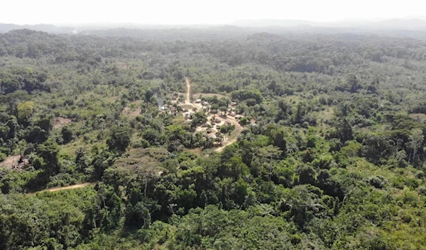 Yarkpa Town stands out in the surrounding rainforest in Rivercess County, Southeast Liberia, Wednesday, March 6, 2024.(AP)