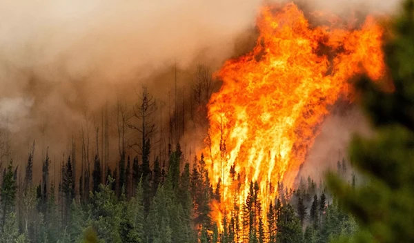 Flames from the Donnie Creek wildfire burn along a ridge top north of Fort St. John, British Columbia, Sunday, July 2, 2023. (AP)