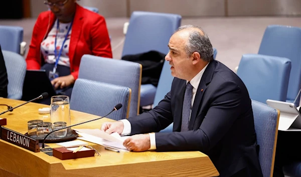 Lebanon rep. to UNSC: 'We are in a race against time'