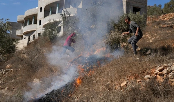 Palestinians fought a fire on their land caused by tear gas canisters fired by Israeli occupation forces in Qusra, south of Nablus, occupied West Bank, Palestine, on Oct. 29, 2024. (AP)