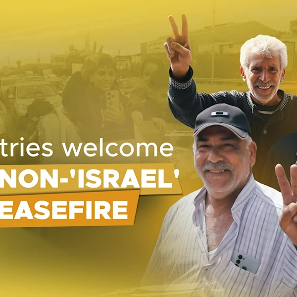 Countries welcome Lebanon-'Israel' ceasefire