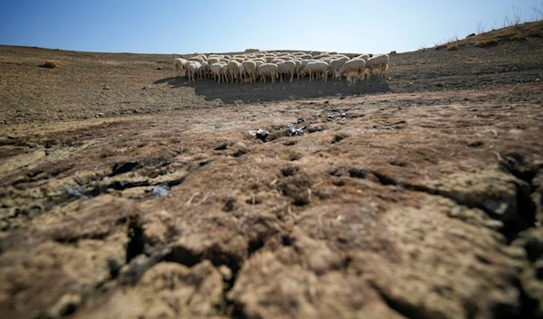 Global land degradation accelerating at alarming rate, new study finds