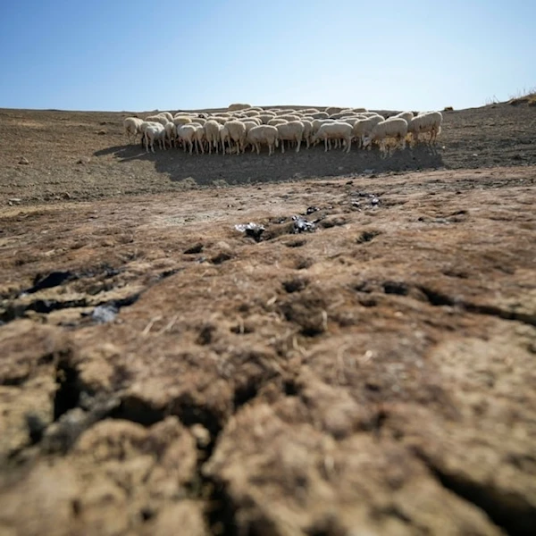 Global land degradation accelerating at alarming rate, new study finds