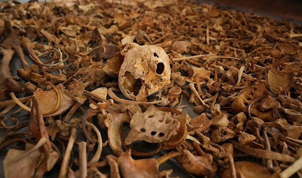 Newly discovered skulls and bones of some of those who were killed displayed as a memorial to the thousands who were killed during the 1994 genocide, at a church, in Nyamata, Rwanda, Friday, April 5, 2024. (AP)