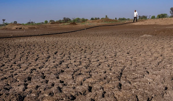 A farmer walks on a lake that has dried up due to drought outside Beed, India, Saturday, May 4, 2024. (AP)