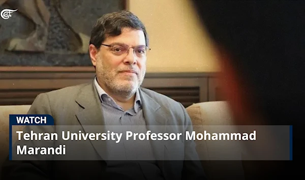 Tehran University Professor Mohammad Marandi