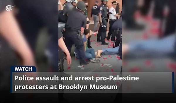 Police assault and arrest pro-Palestine protesters at Brooklyn Museum