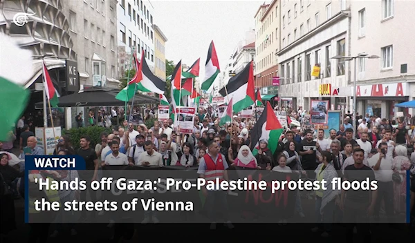 'Hands off Gaza:' Pro-Palestine protest floods the streets of Vienna