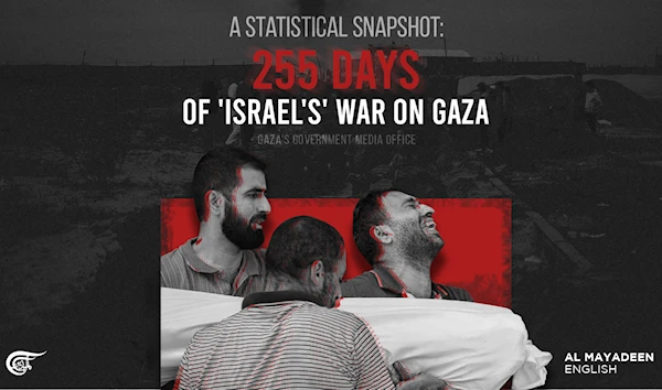 A statistical snapshot: 255 days of 'Israel's' war on Gaza